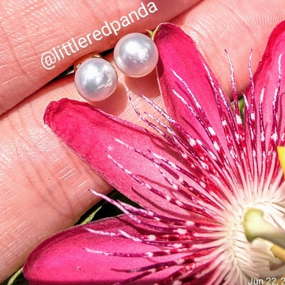 Dainty pearl studs